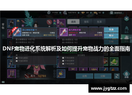 DNF宠物进化系统解析及如何提升宠物战力的全面指南